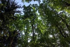 IMG_20160530_172654