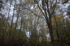 IMG_20161004_135009