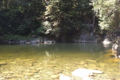 IMG-20170723-WA0003