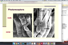 Screen-Shot-2015-09-10-at-3.16.05-PM