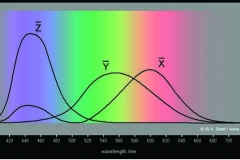 White paper on IPS Pro