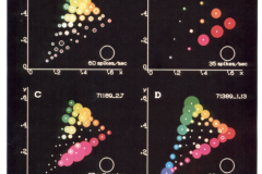 colour_space_neurons