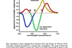 hue-cancellation-curves