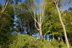 IMG_20170507_184935