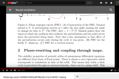 Ermentrout2004_neural_oscillators_2018-05-15-at-8.12.30-PM